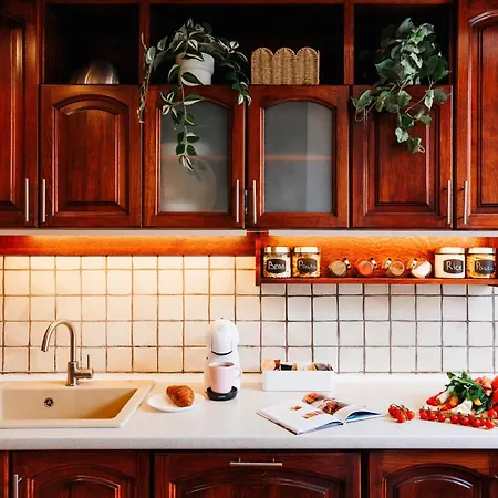 Sunwave With Terrace 280 Mbps Old Town Renovated * Belgrad